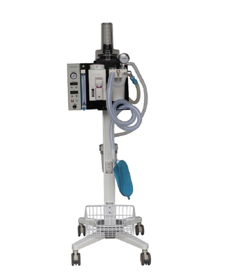Veterinary Anesthesia Machine Supplier Customized Medical Equipments DA1200V3